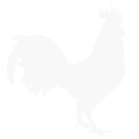 COQ HÔTEL