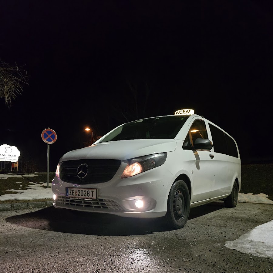 BORA Taxi & Appartement's ZellamSee