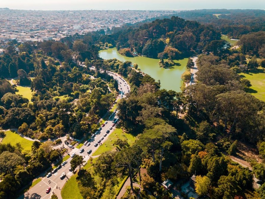 Golden Gate Park