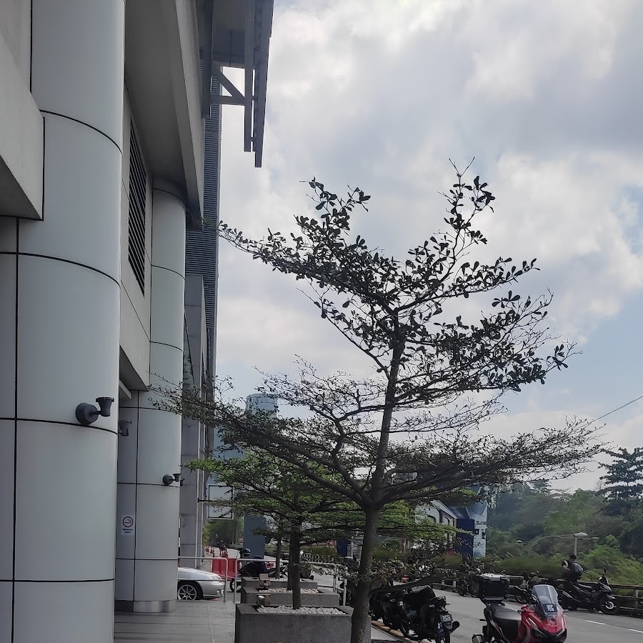 Axiata Tower