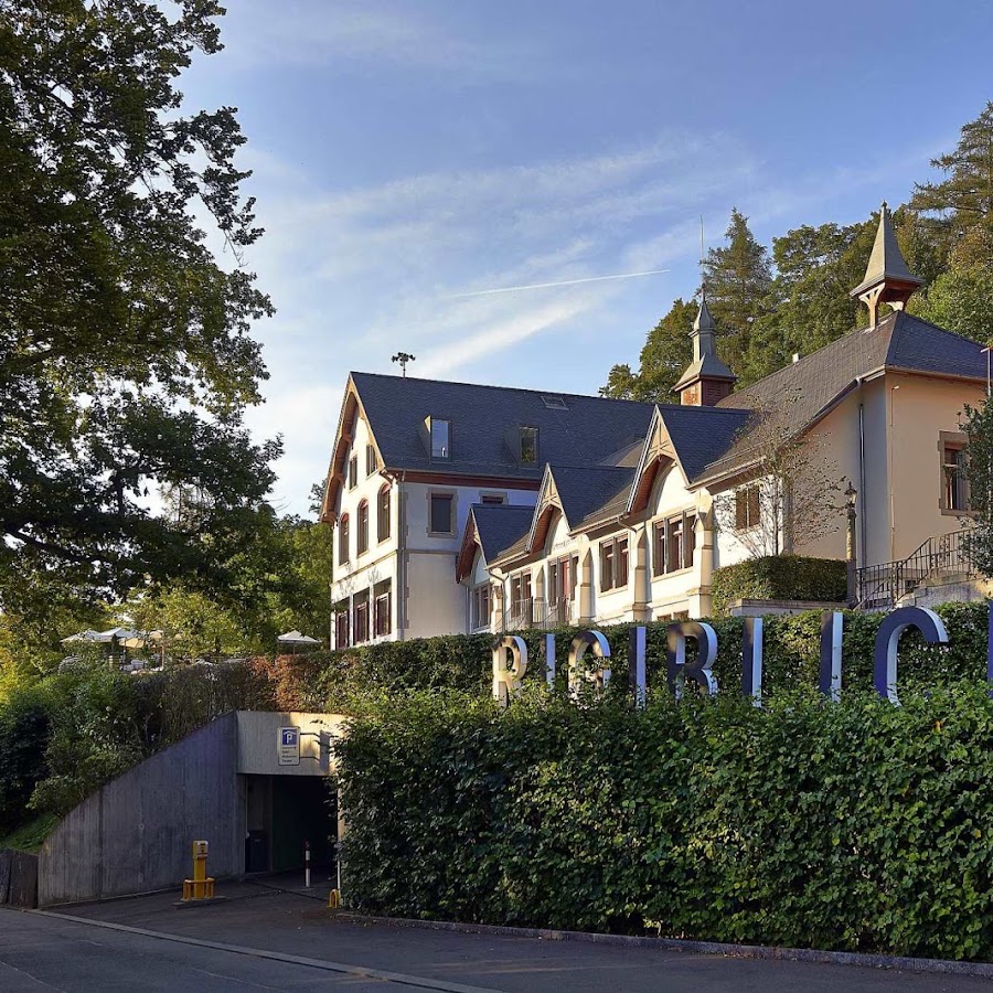 Sorell Hotel Rigiblick - Studios & Spa Suites
