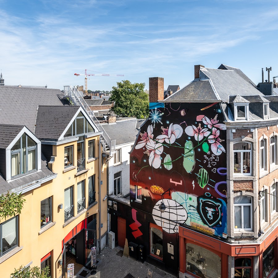 Les Cerisiers - gîtes citadins au Centre de Namur