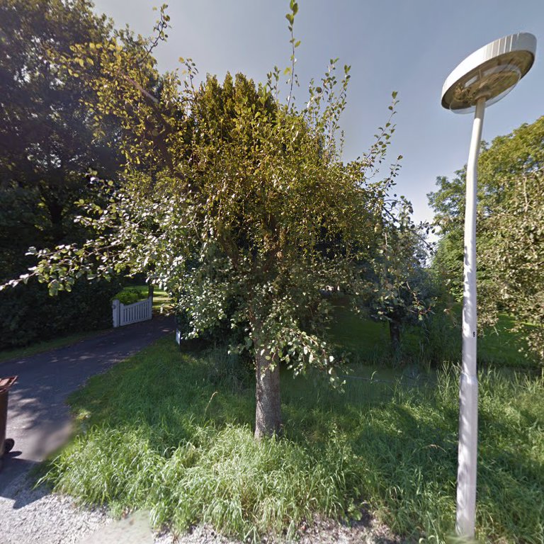 Bed and Breakfast de Buitenhof