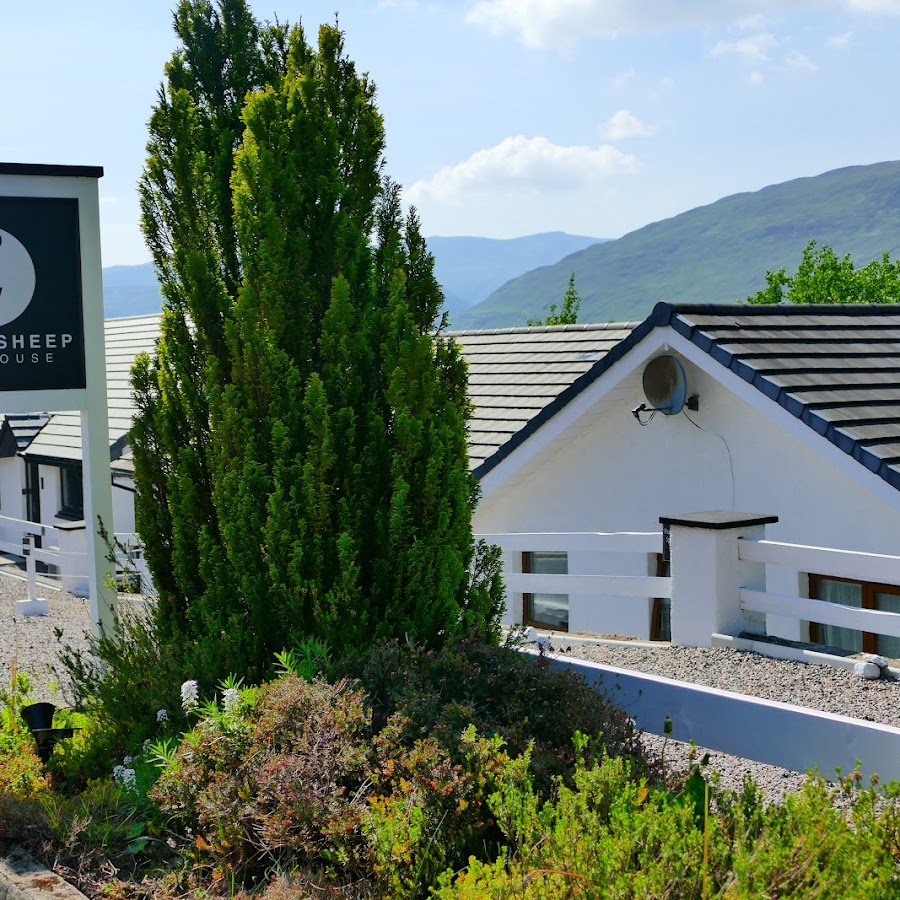 BLACK SHEEP BUNKHOUSE