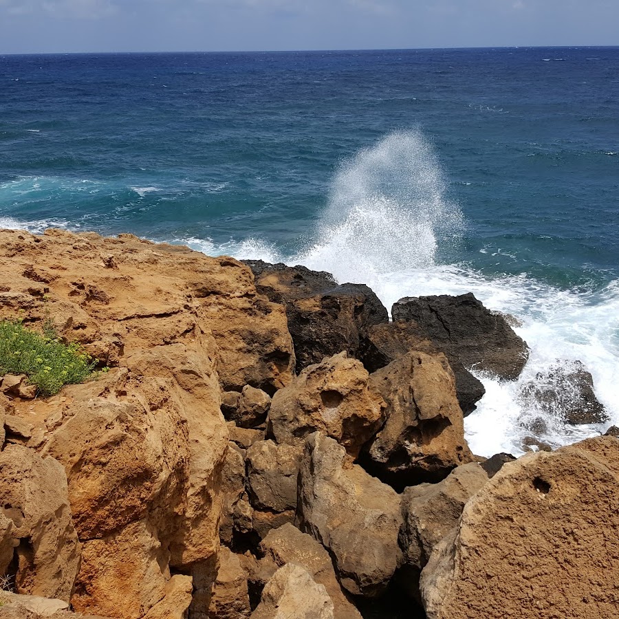 Sea View Hotel & Apartments