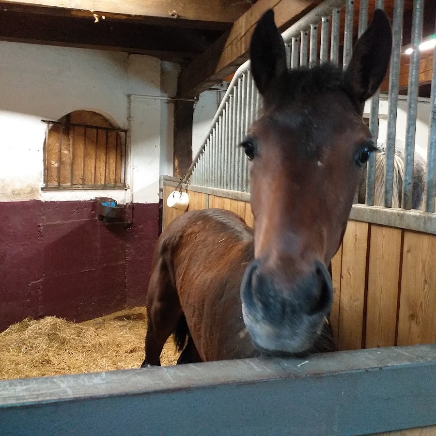 Henntalhof Kitzbühel