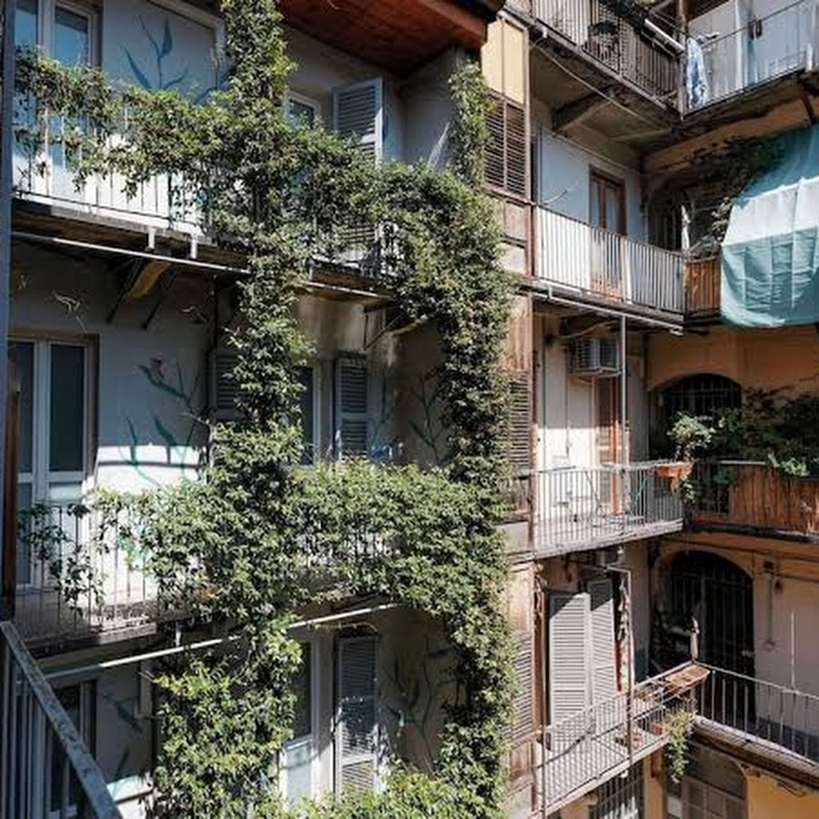 Tomato Urban Retreat