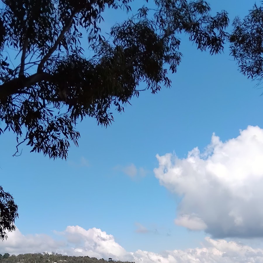 Gordon Falls Lookout