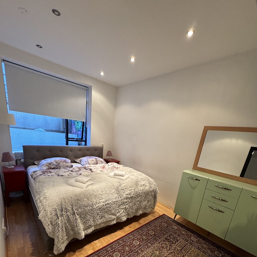 Reykjavik Antique Rentals