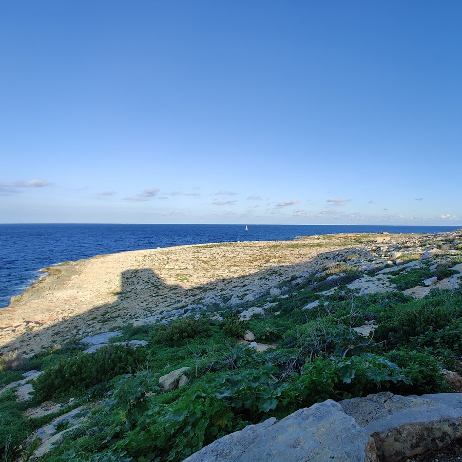 Sprachcaffe Languages PLUS