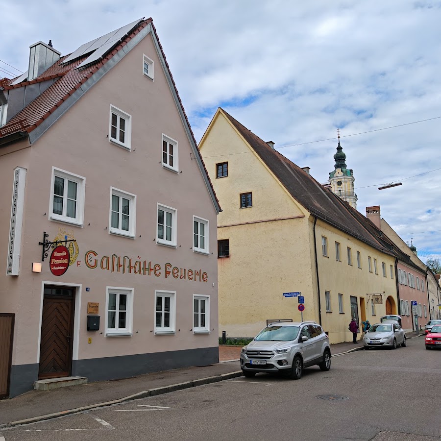 Pension Feuerle Sansiviero Donauwörth