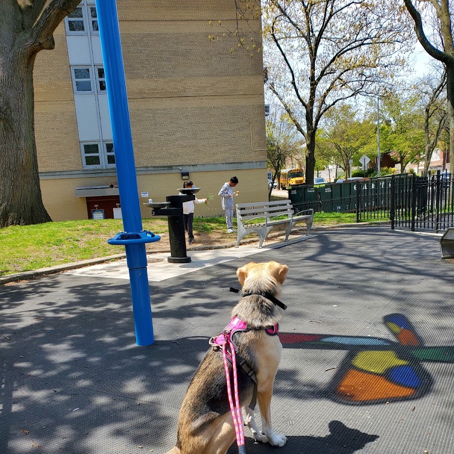 Briarwood Playground (Jhs 217)
