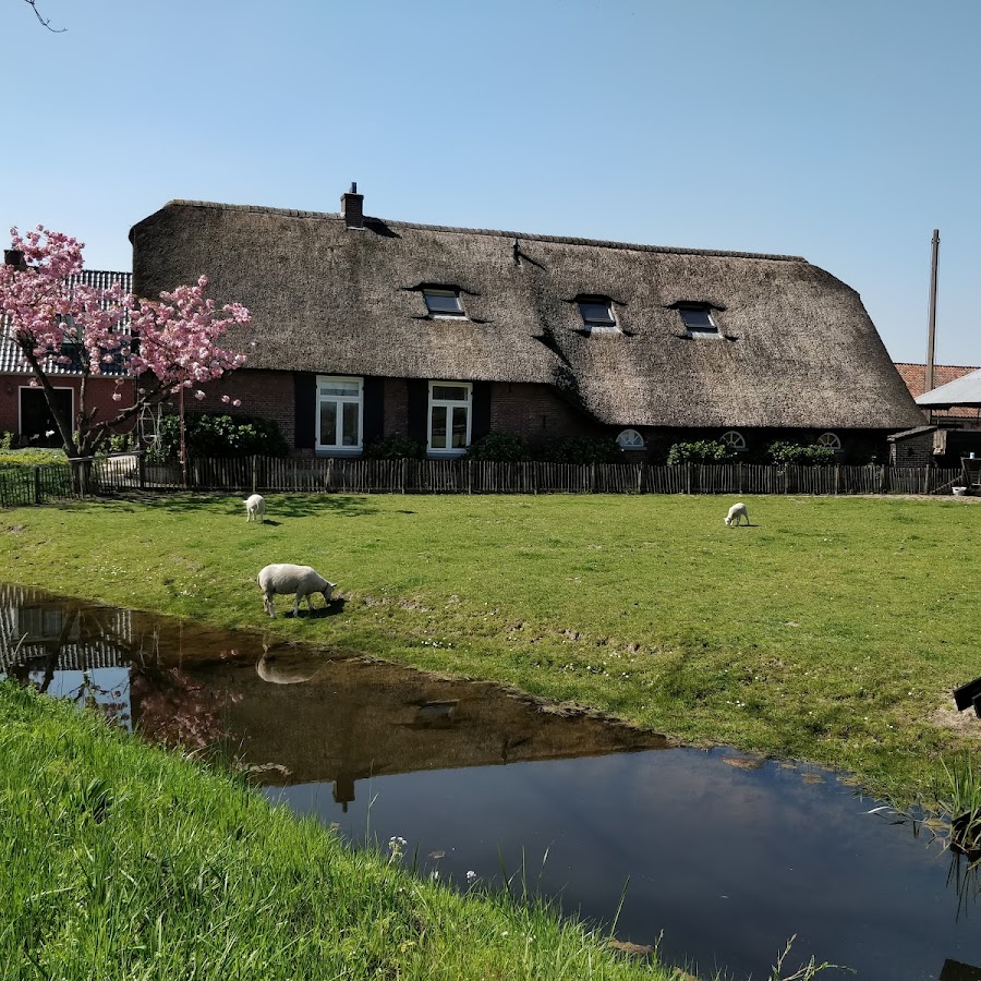 B&B De Boerenzwaluw
