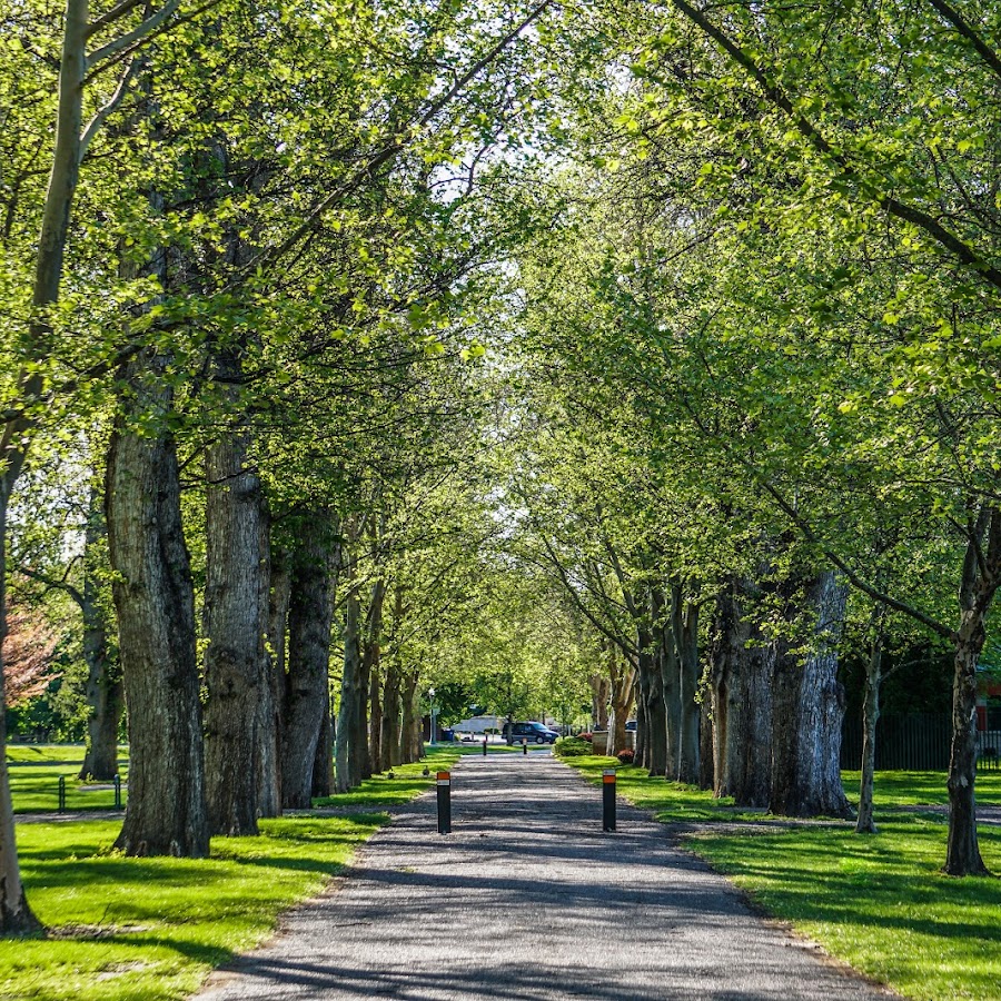 Julia Davis Park
