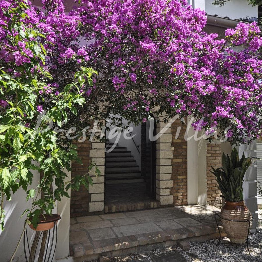 Villa Thalia, Prestige Villas