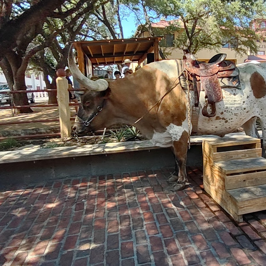 Fort Worth Stockyards Historic District