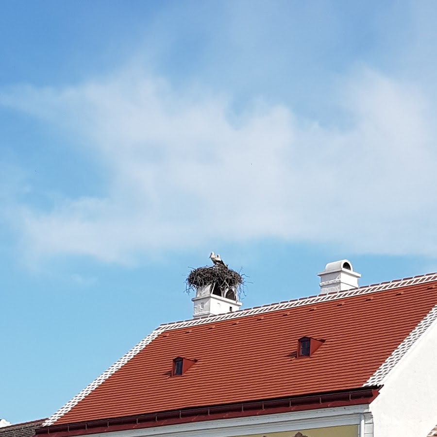 Weingut Pension Sommerhof