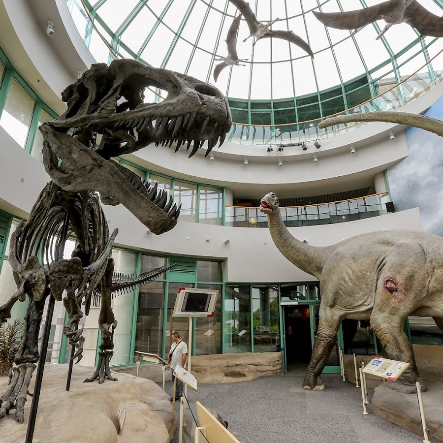  North Carolina Museum of Natural Sciences