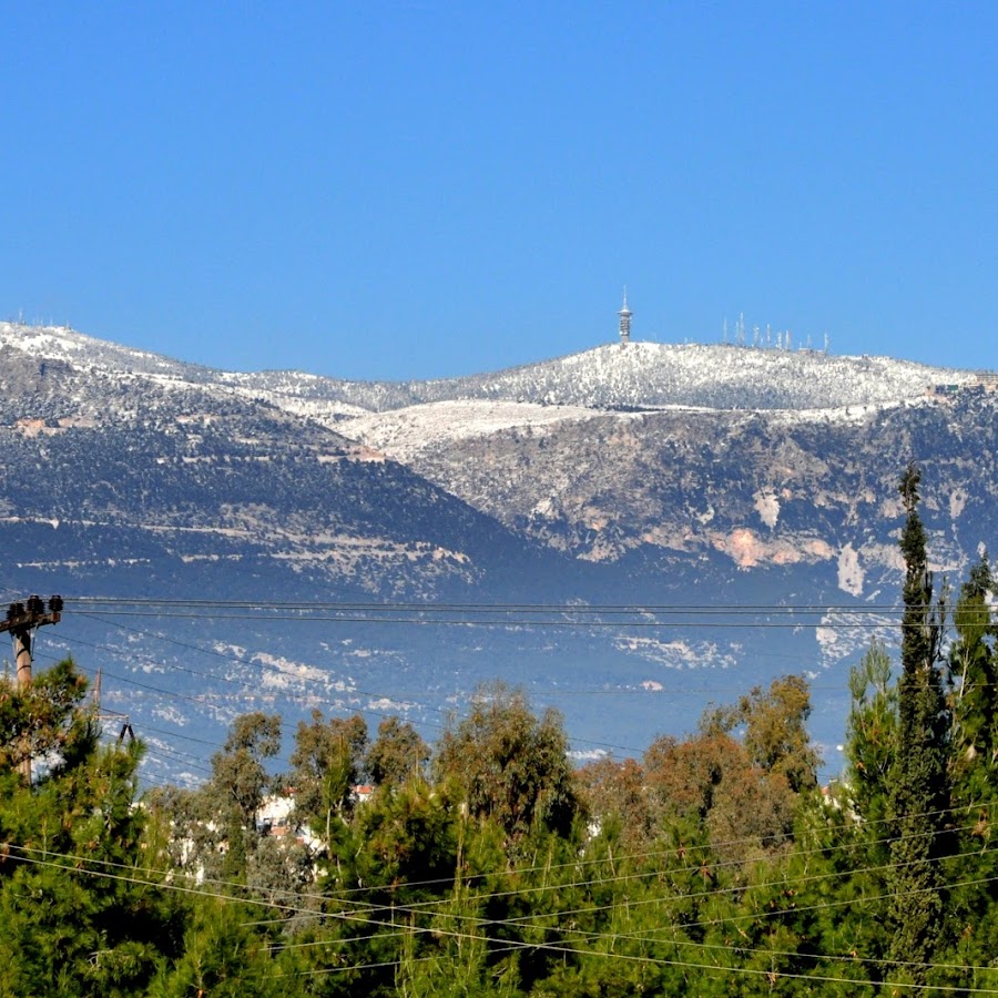 Tatoi Royal Estate