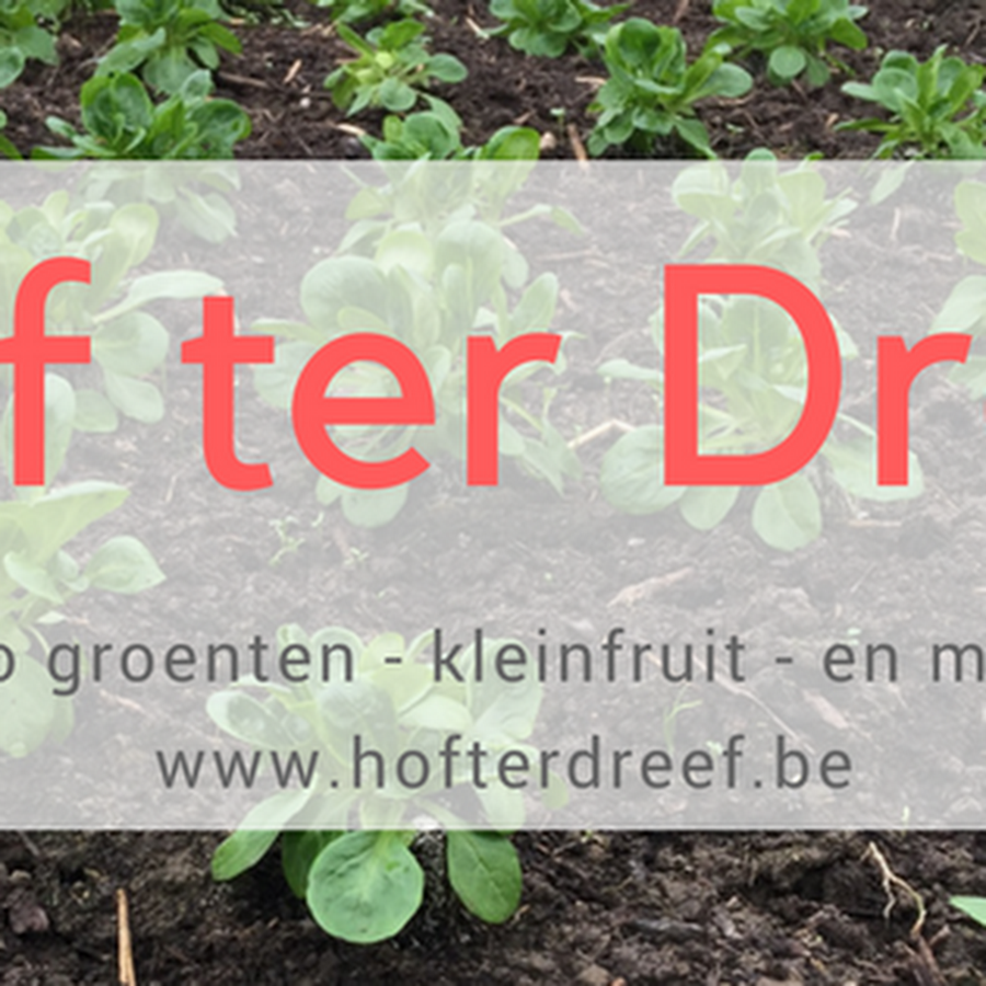 Hof ter Dreef
