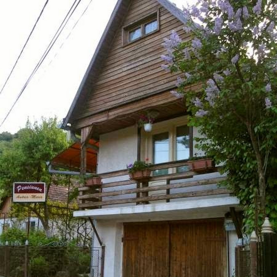 Pensiunea Andrea-Maria