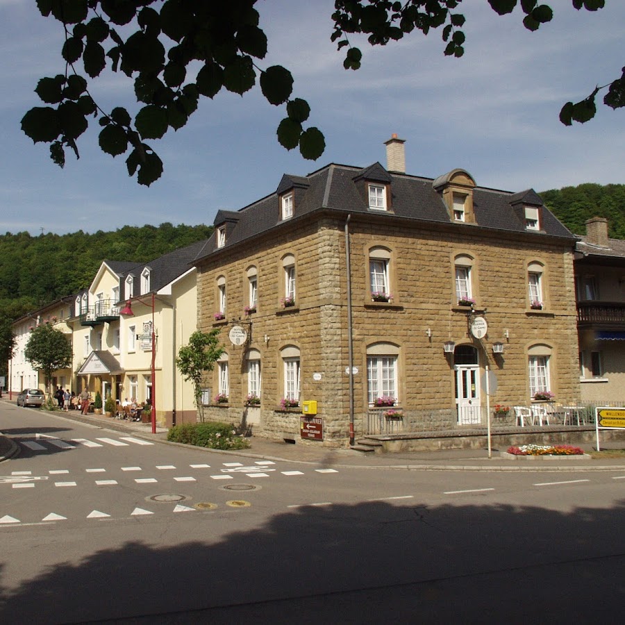 Logis Hotel Restaurant Dimmer