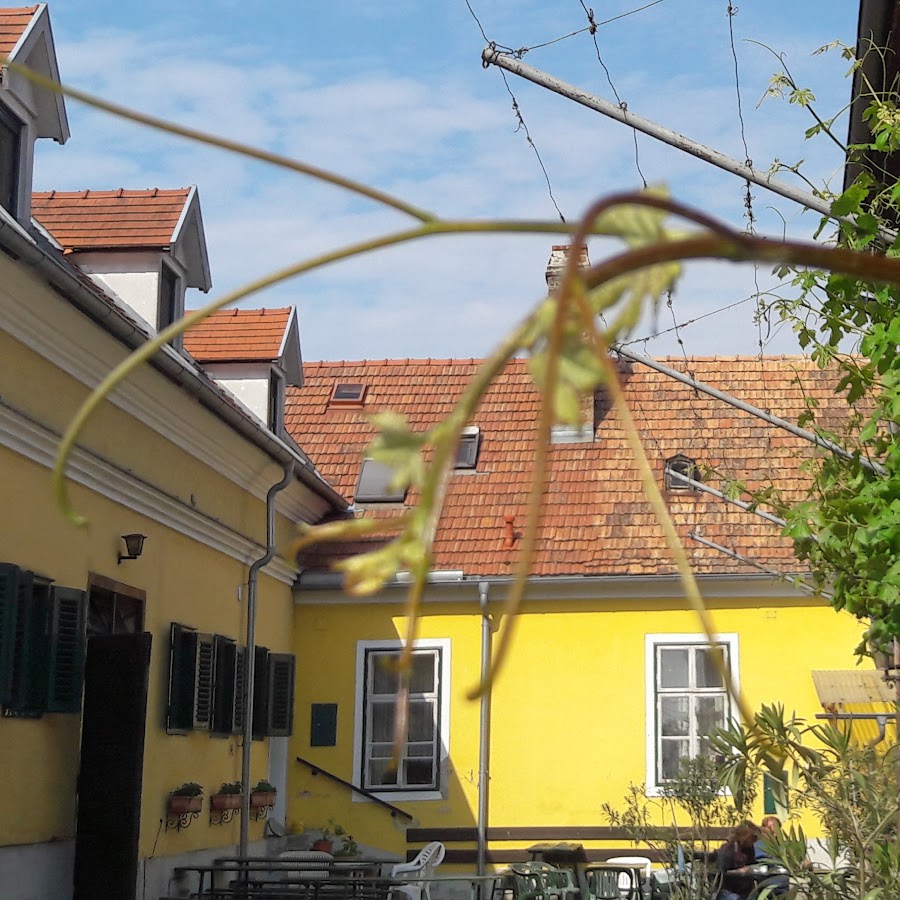 WEINGUT - BUSCHENSCHANK HABERHAUER
