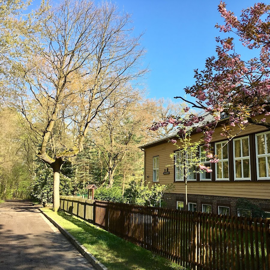 School camp in Küchwald
