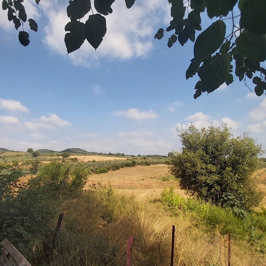 Atalan