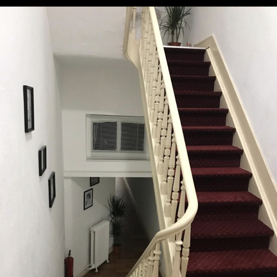 The Hive Rooms