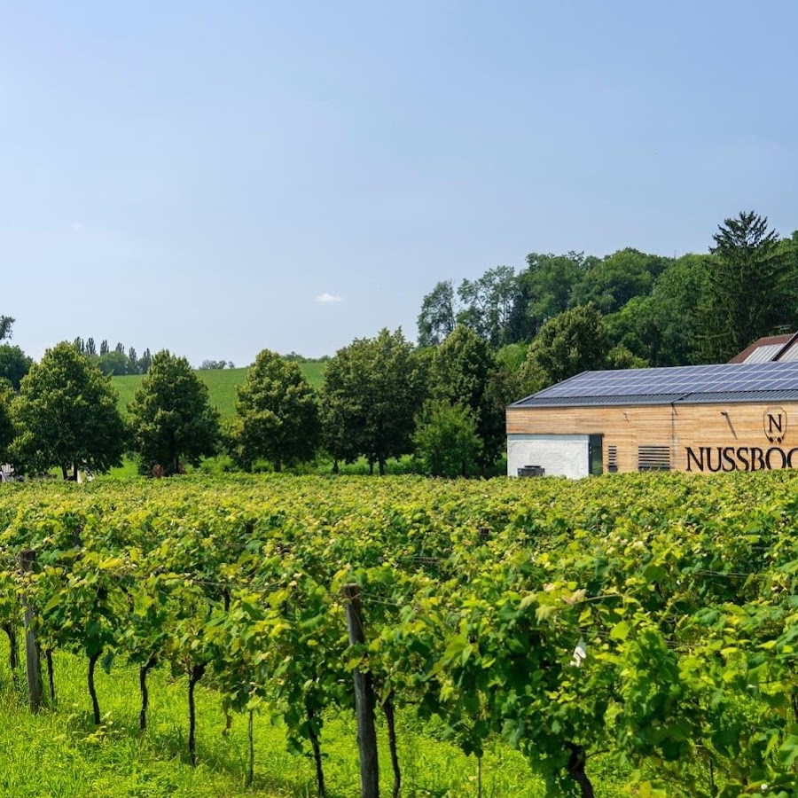 Nussböckgut - Familie Velechovsky