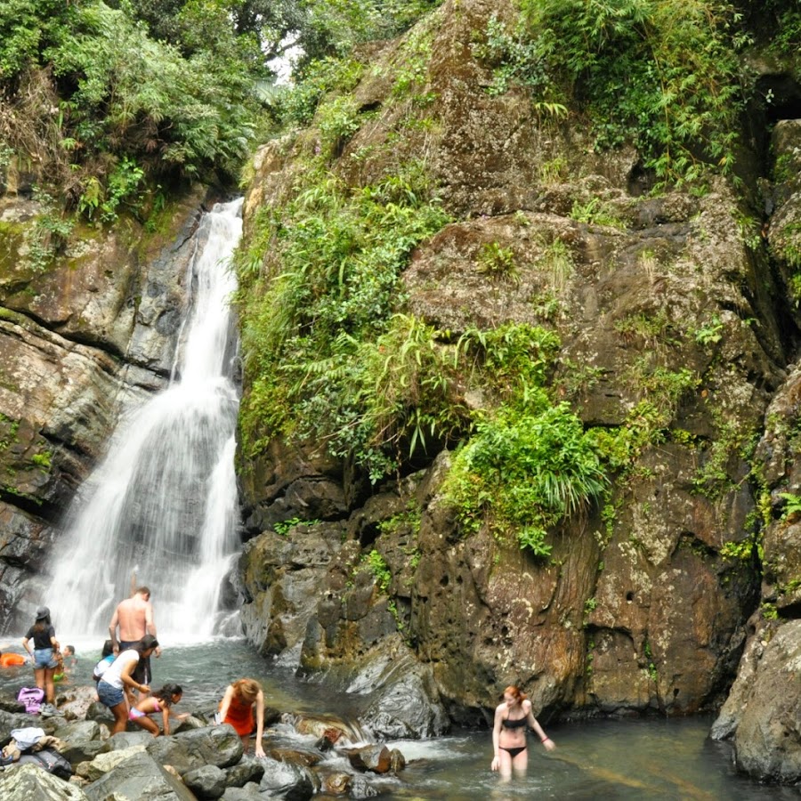 El Yunque National Forest