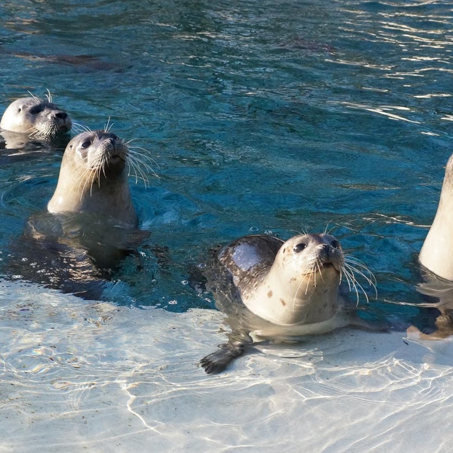 Zoo and Fossilium Bochum
