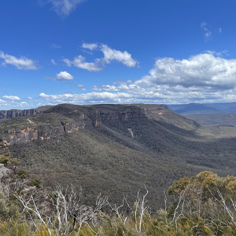 Boars Head Lookout