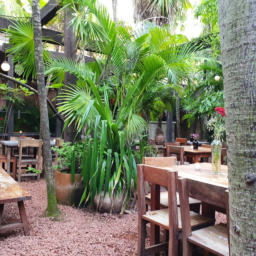 Casa Jaguar