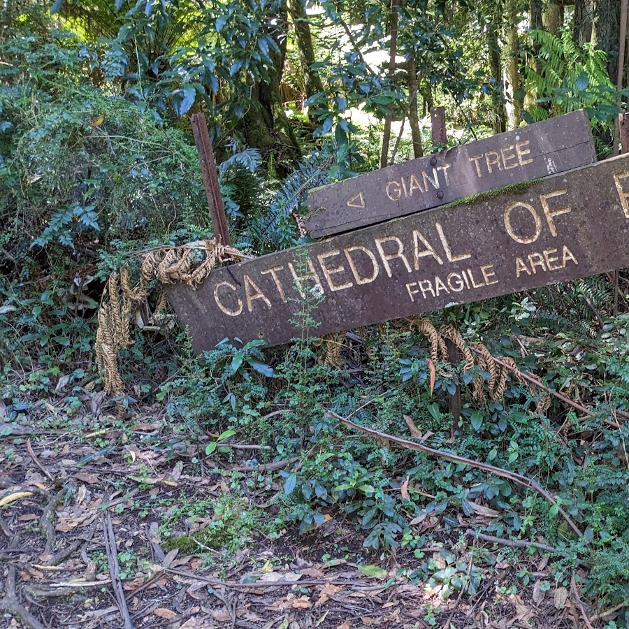 Cathedral of Ferns