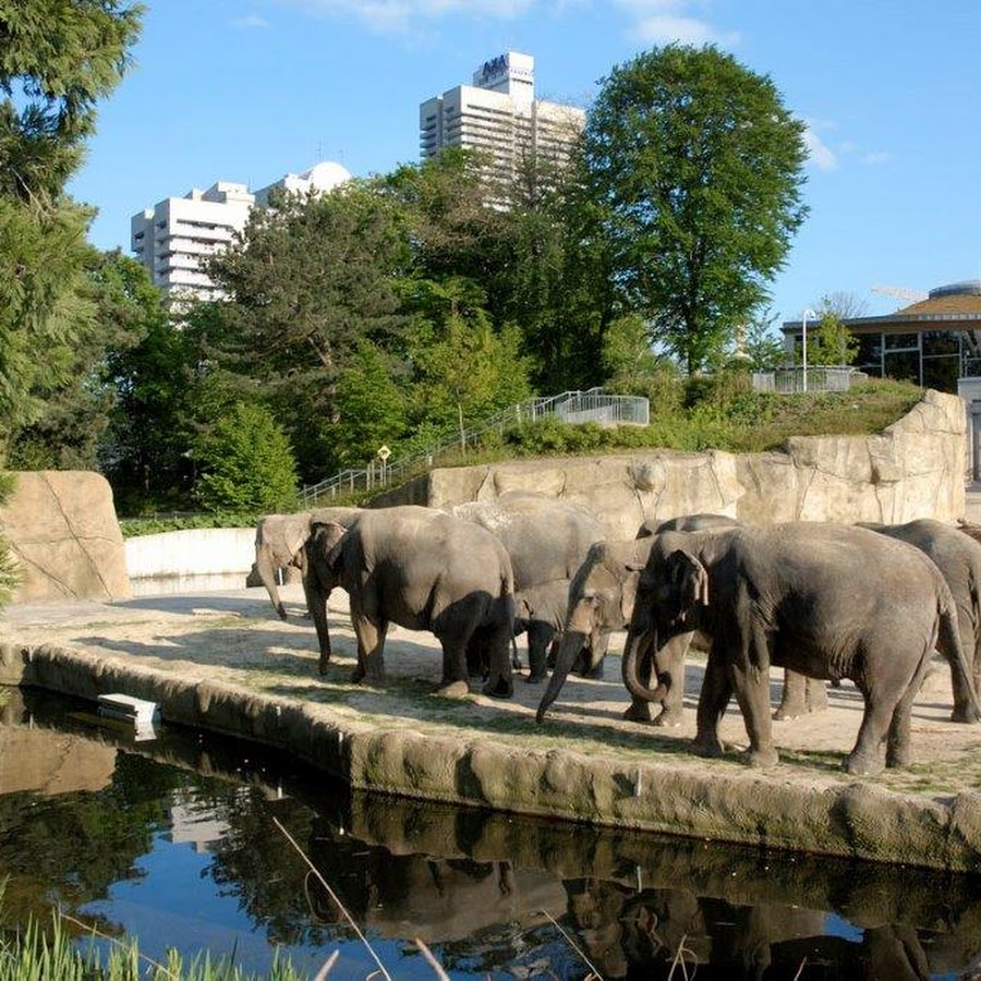 Cologne Zoo