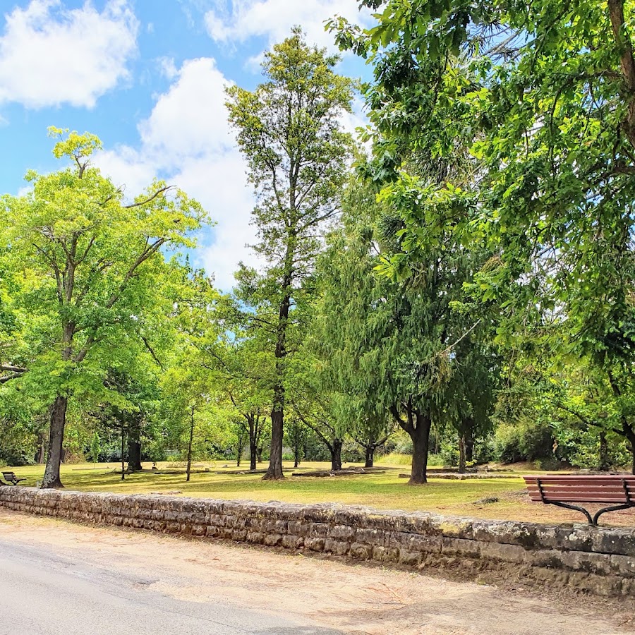 Corridor Of Oaks Park