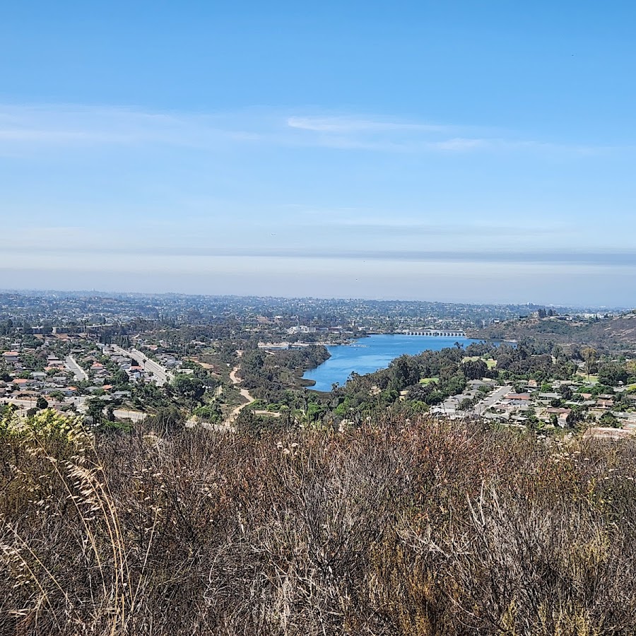 California (San Diego)