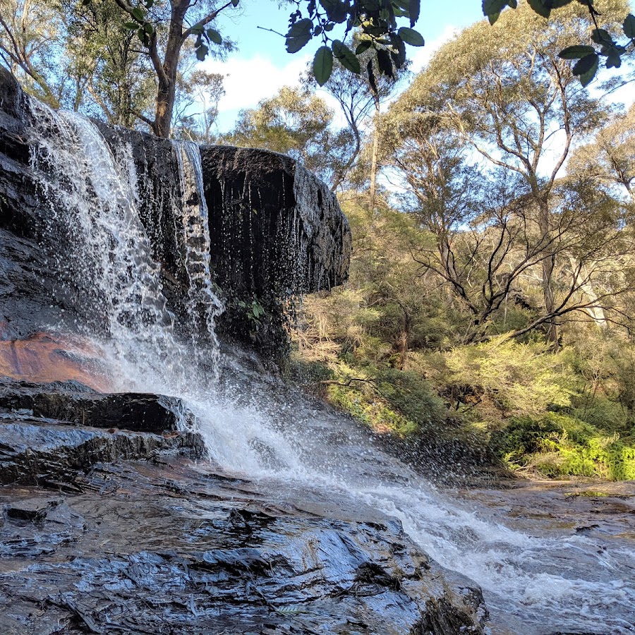Darwins walk