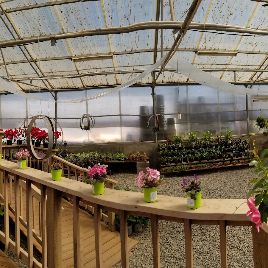 Deja Vu Gardens Galore Nursery of Paradise - US