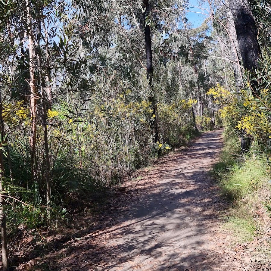 Fairfax Heritage walking track