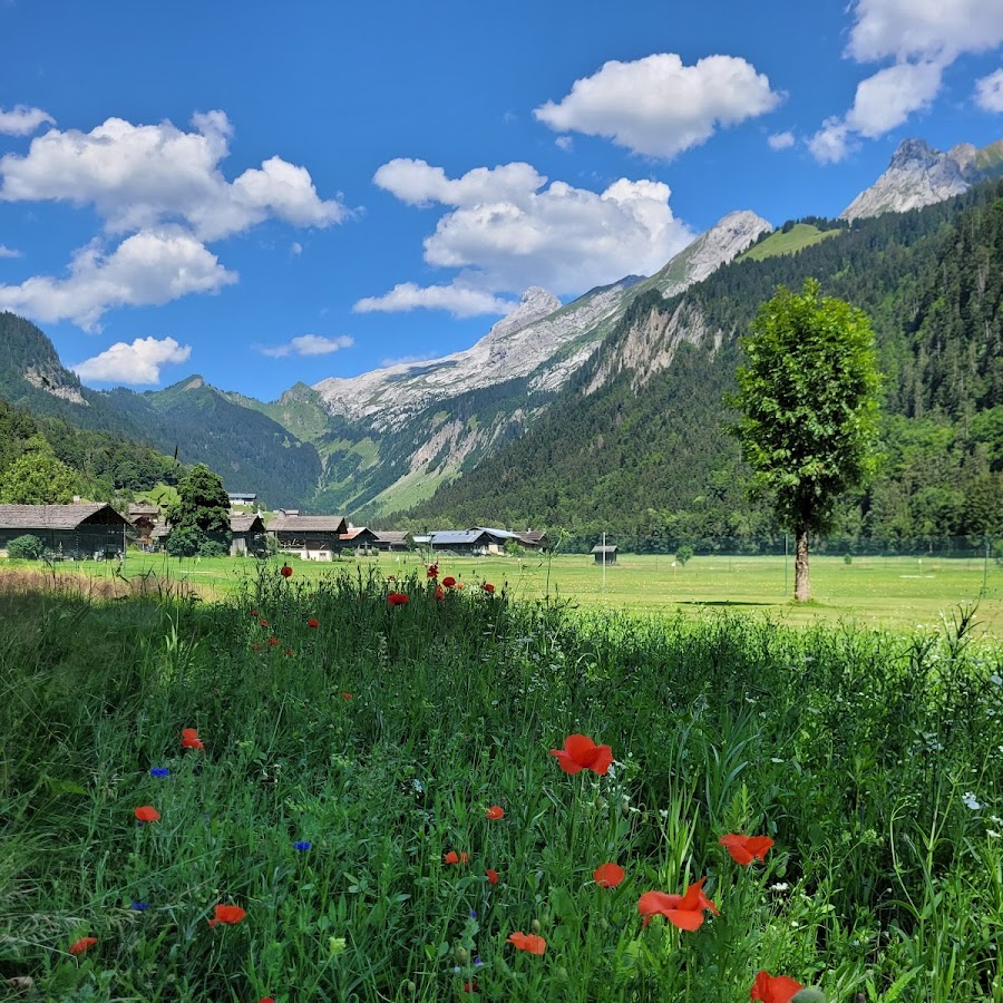 Golf du Grand-Bornand
