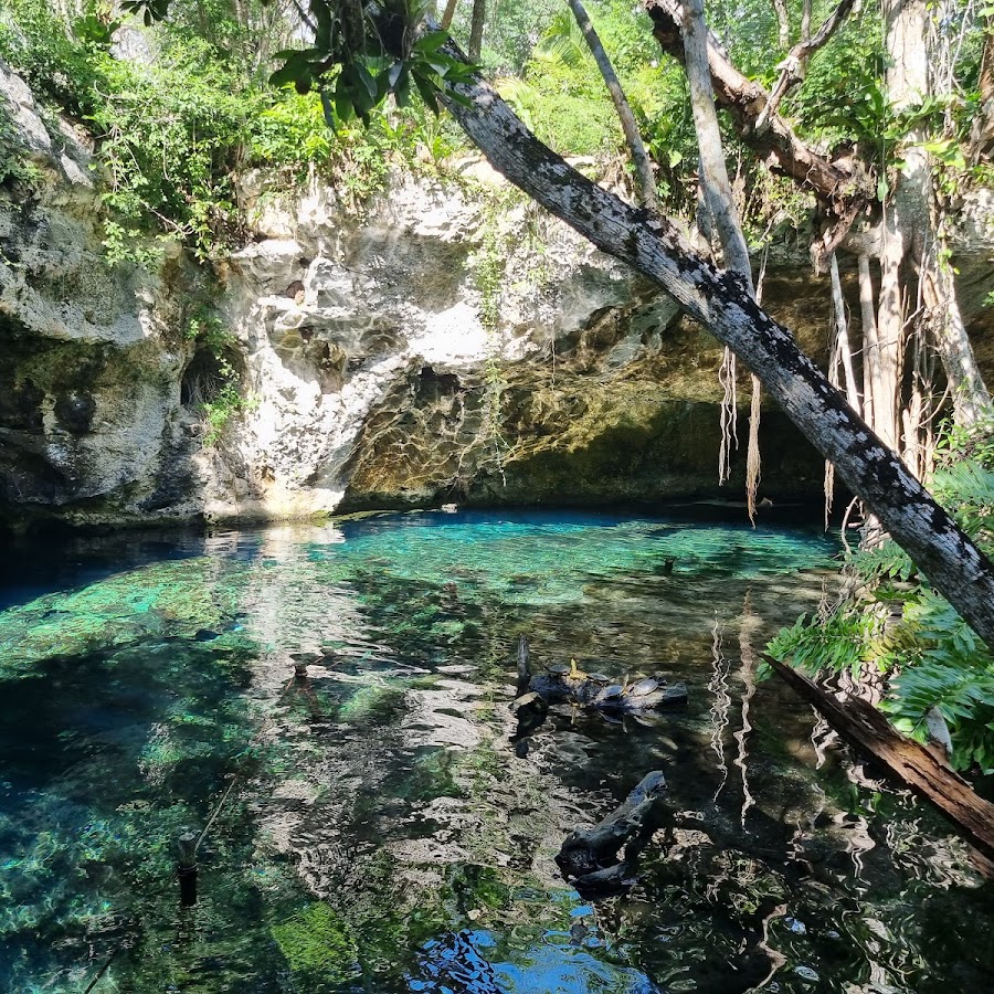 Gran Cenote