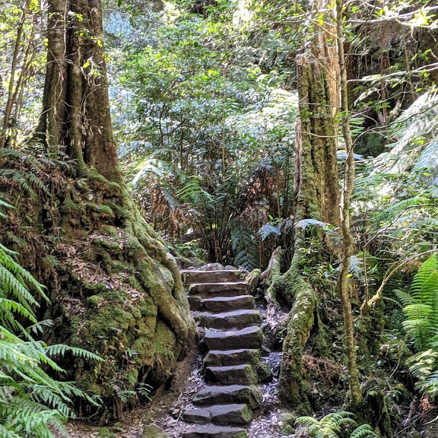 Grand Canyon Walking Track