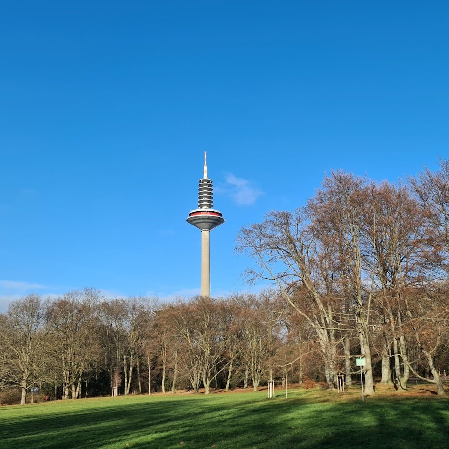 Grüneburgpark