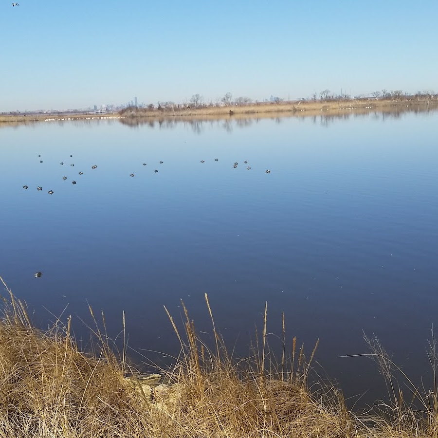 Jamaica Bay Wildlife Refuge