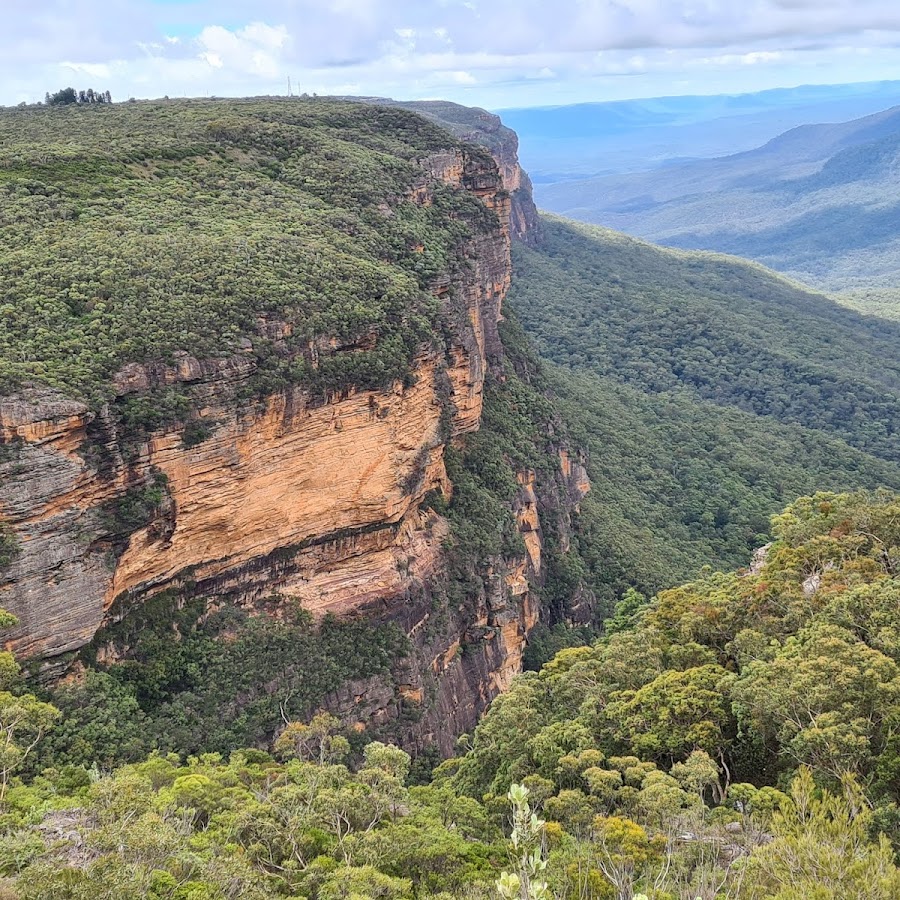 Jamison Lookout