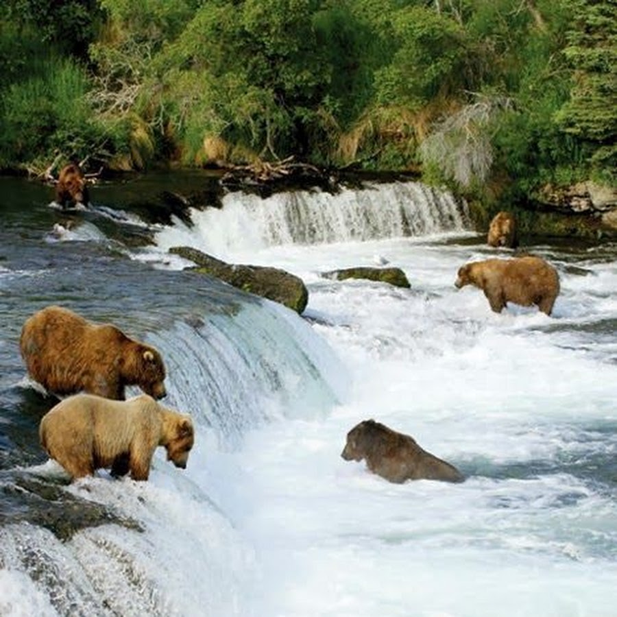Katmai National Park