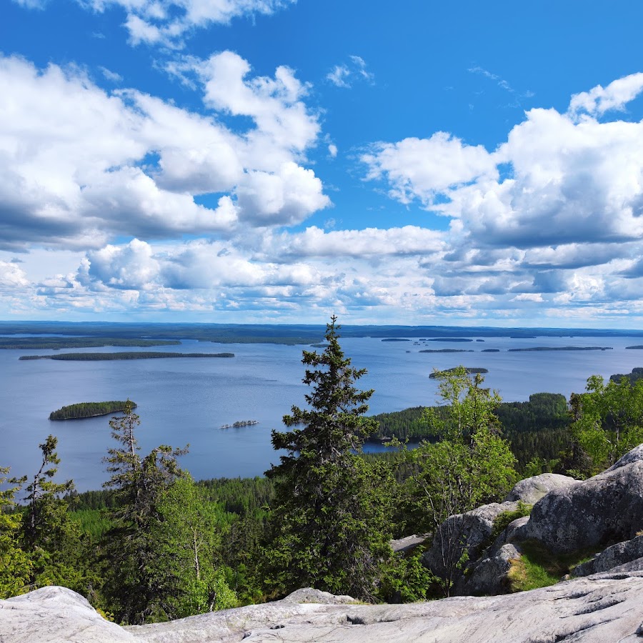 Koli National Park